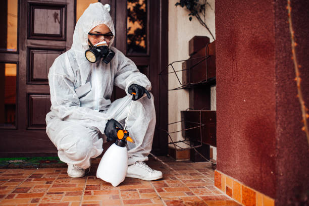 Reliable Wasp Removal contractor in Santa Clara, NM by Show Me Pest Control